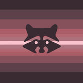 Raccoboy