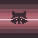 Raccoboy